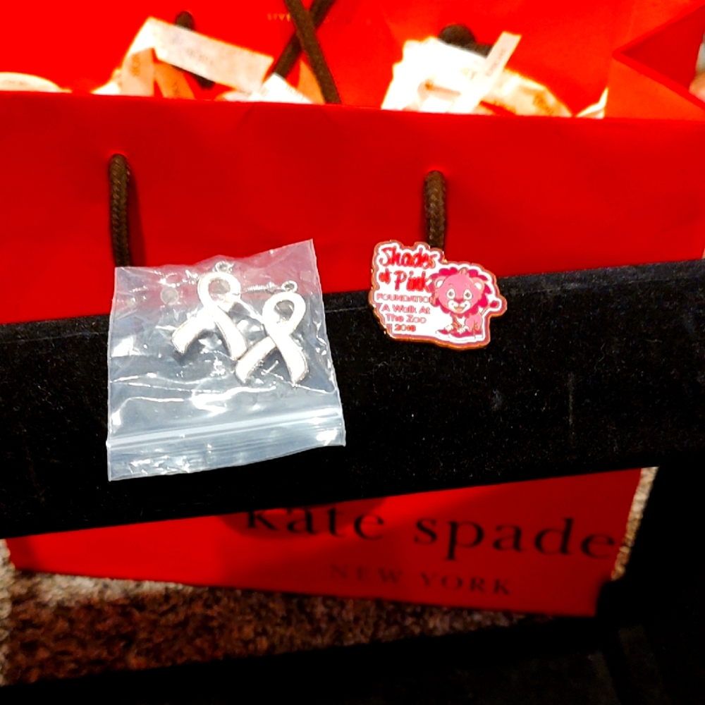 Silver Ribbon pin and earrings
